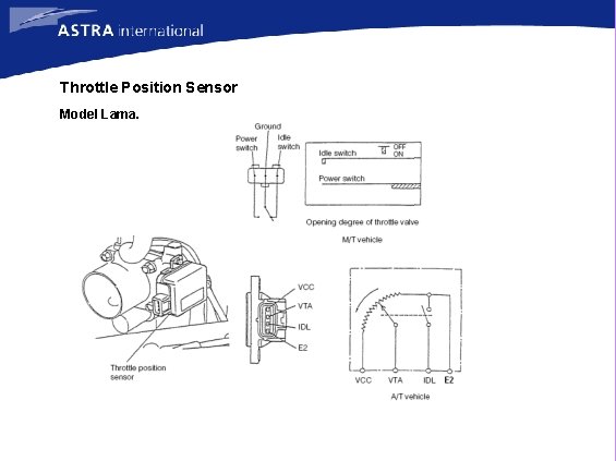 Throttle Position Sensor Model Lama. 