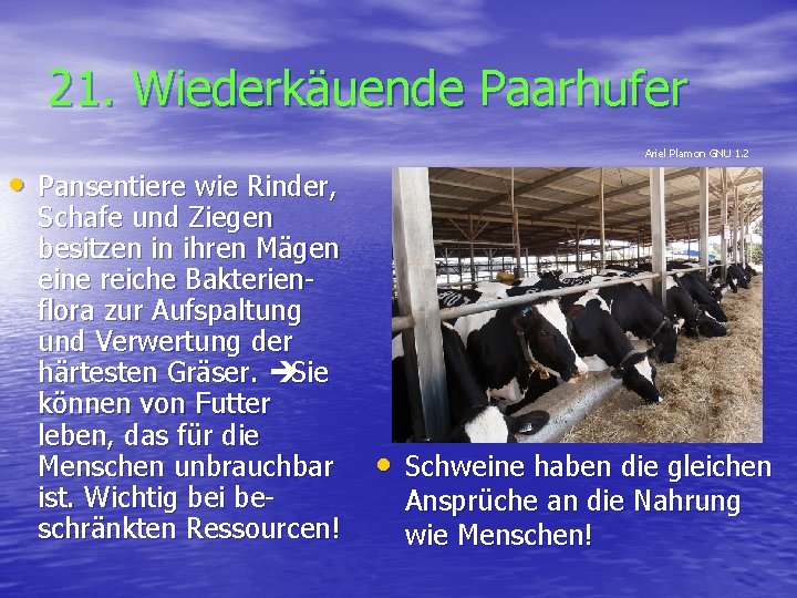 21. Wiederkäuende Paarhufer Ariel Plamon GNU 1. 2 • Pansentiere wie Rinder, Schafe und