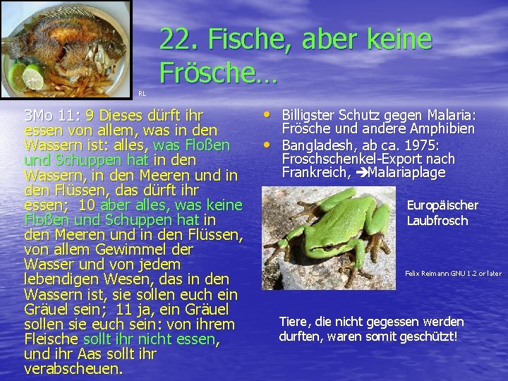 RL 22. Fische, aber keine Frösche… 3 Mo 11: 9 Dieses dürft ihr essen