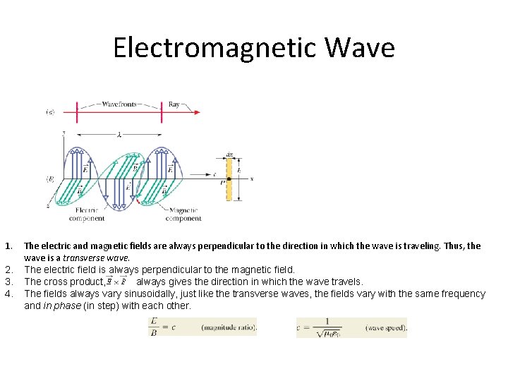 Electromagnetic Wave 1. 2. 3. 4. The electric and magnetic fields are always perpendicular