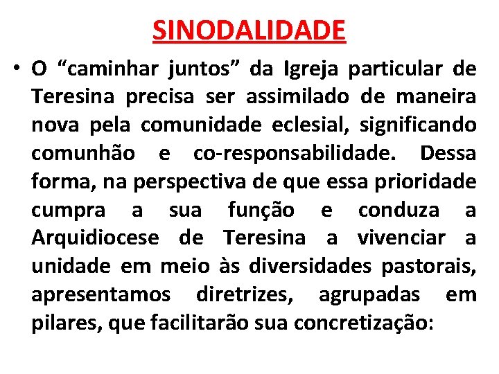 SINODALIDADE • O “caminhar juntos” da Igreja particular de Teresina precisa ser assimilado de