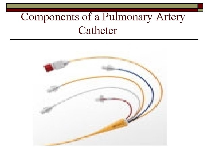 Components of a Pulmonary Artery Catheter 
