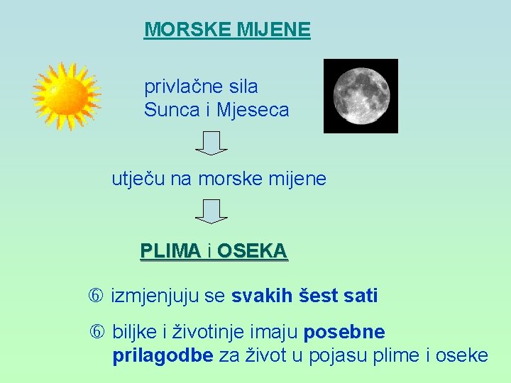 MORSKE MIJENE privlačne sila Sunca i Mjeseca utječu na morske mijene PLIMA i OSEKA