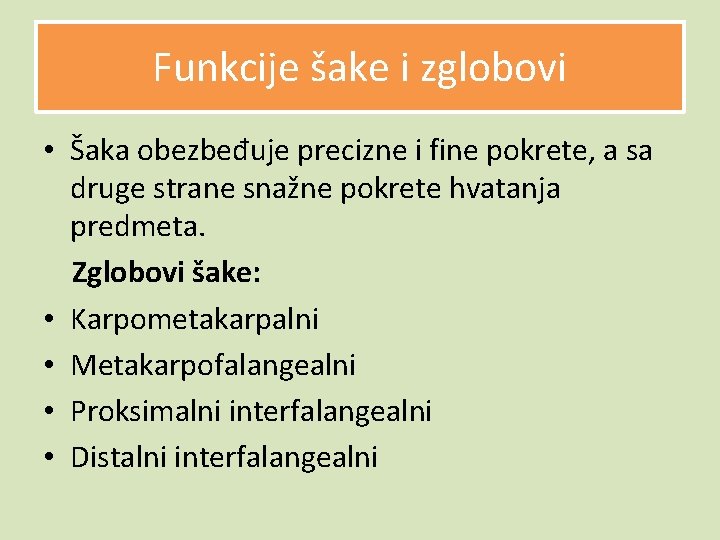 Funkcije šake i zglobovi • Šaka obezbeđuje precizne i fine pokrete, a sa druge