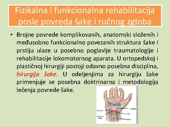 Fizikalna i funkcionalna rehabilitacija posle povreda šake i ručnog zgloba • Brojne povrede komplikovanih,