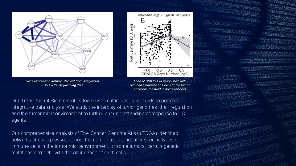 Gene expression network derived from analysis of TCGA RNA sequencing data Loss of CDKN