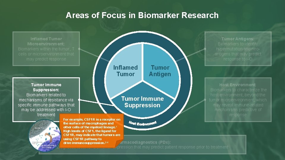 Areas of Focus in Biomarker Research Inflamed Tumor Microenvironment: Biomarkers within the tumor, T