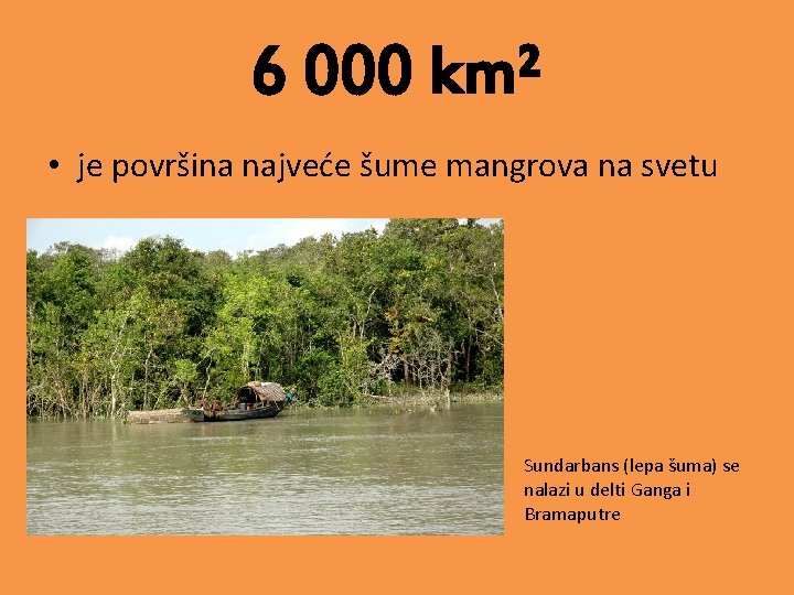 6 000 km² • je površina najveće šume mangrova na svetu Sundarbans (lepa šuma)