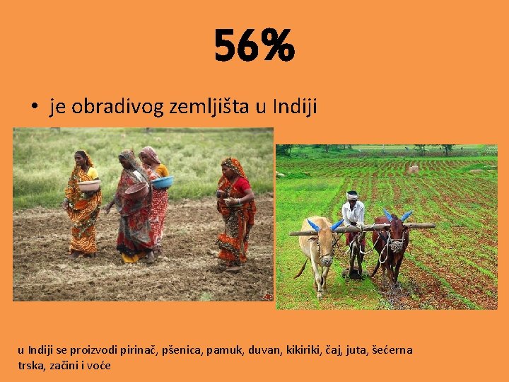 56% • je obradivog zemljišta u Indiji se proizvodi pirinač, pšenica, pamuk, duvan, kikiriki,