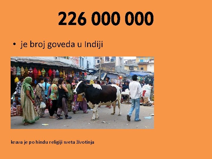 226 000 • je broj goveda u Indiji krava je po hindu religiji sveta