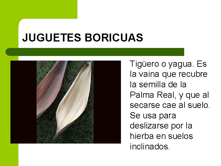 JUGUETES BORICUAS Tigüero o yagua. Es la vaina que recubre la semilla de la