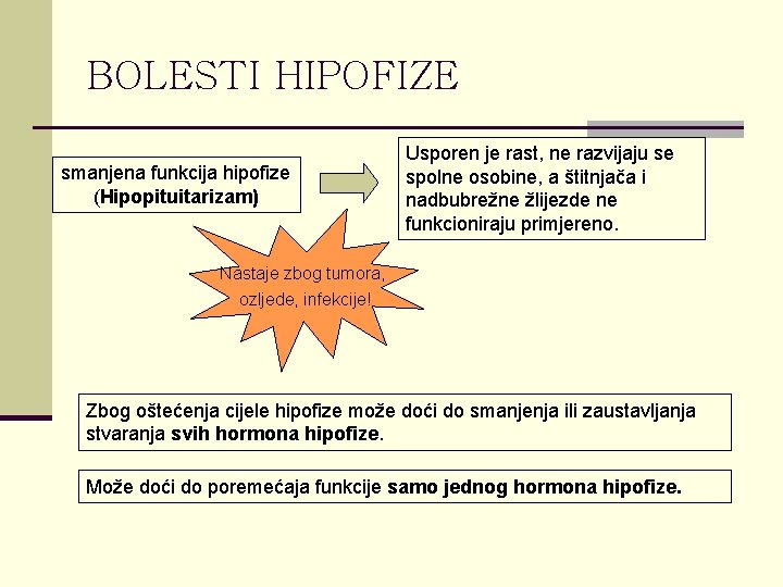 BOLESTI HIPOFIZE smanjena funkcija hipofize (Hipopituitarizam) Usporen je rast, ne razvijaju se spolne osobine,