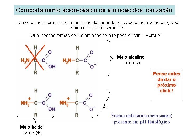 Comportamento ácido-básico de aminoácidos: ionização Abaixo estão 4 formas de um aminoácido variando o