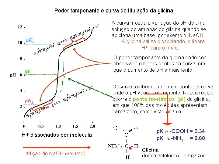 Poder tamponante e curva de titulação da glicina A curva mostra a variação do