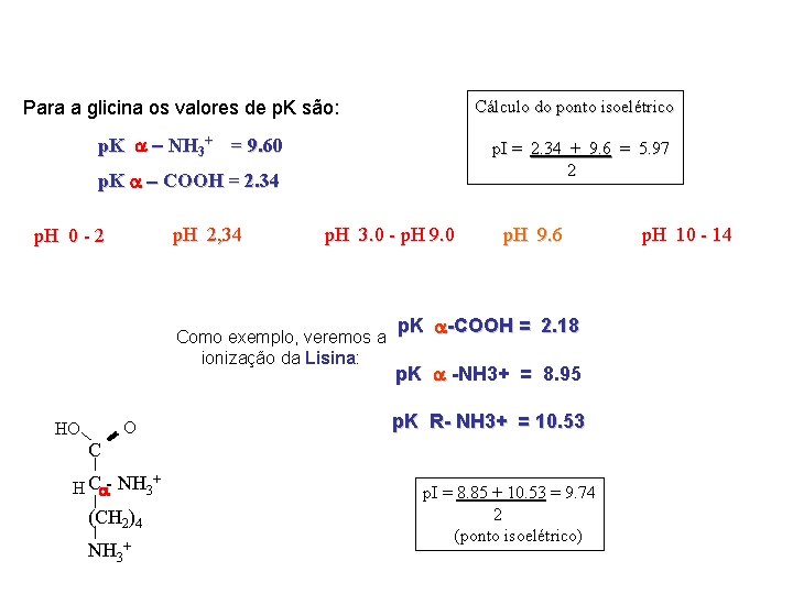 Cálculo do ponto isoelétrico Para a glicina os valores de p. K são: p.