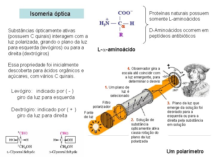 COO Isomeria óptica + H 3 N — C — H Substâncias ópticamente ativas
