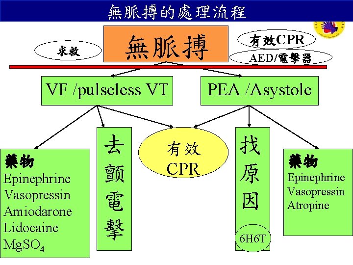 無脈搏的處理流程 求救 無脈搏 VF /pulseless VT 藥物 Epinephrine Vasopressin Amiodarone Lidocaine Mg. SO 4