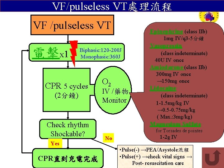 VF/pulseless VT處理流程 VF /pulseless VT Epinephrine (class IIb) 1 mg IV/q 3 -5分鐘 電擊X