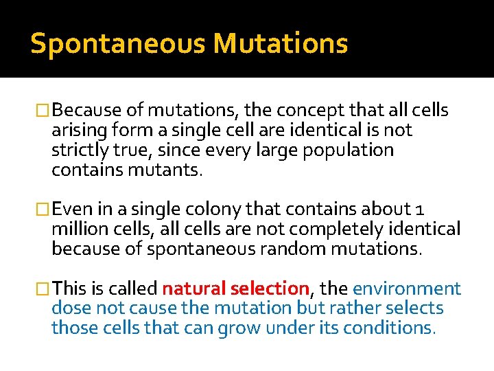 Spontaneous Mutations �Because of mutations, the concept that all cells arising form a single
