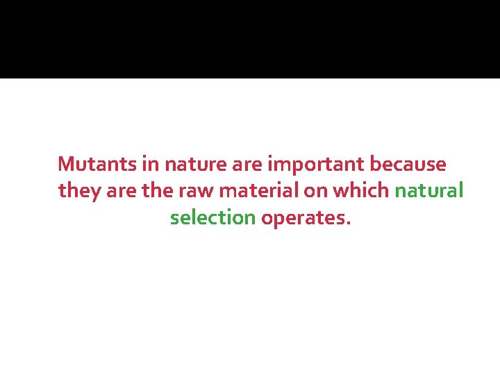 Mutants in nature are important because they are the raw material on which natural