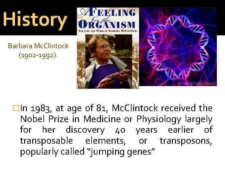 History Barbara Mc. Clintock (1902 -1992). �In 1983, at age of 81, Mc. Clintock