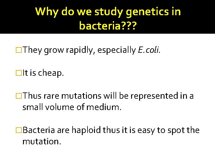 Why do we study genetics in bacteria? ? ? �They grow rapidly, especially E.