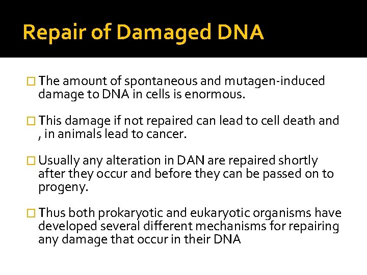 Repair of Damaged DNA � The amount of spontaneous and mutagen-induced damage to DNA