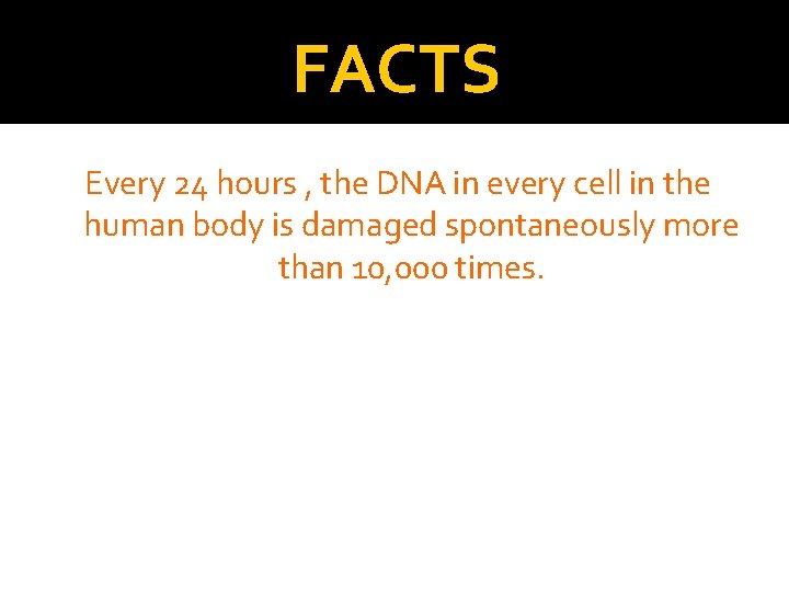 FACTS Every 24 hours , the DNA in every cell in the human body