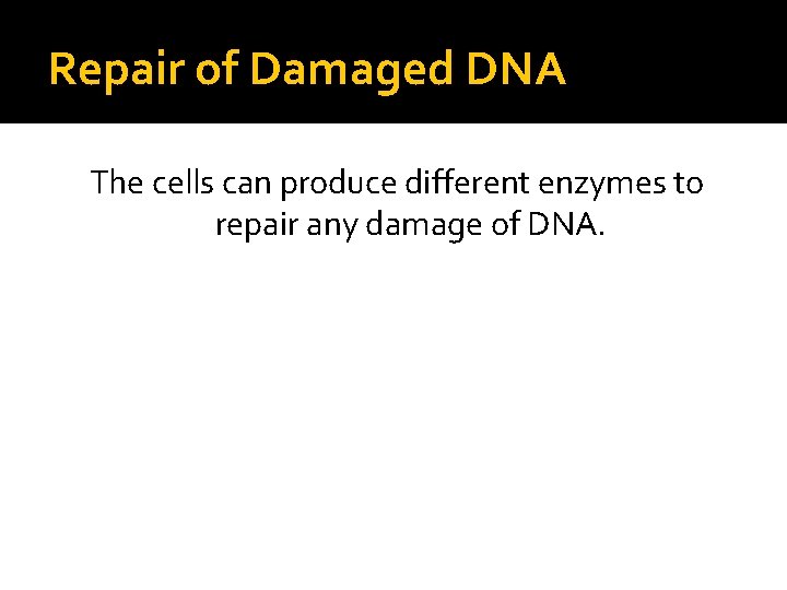 Repair of Damaged DNA The cells can produce different enzymes to repair any damage