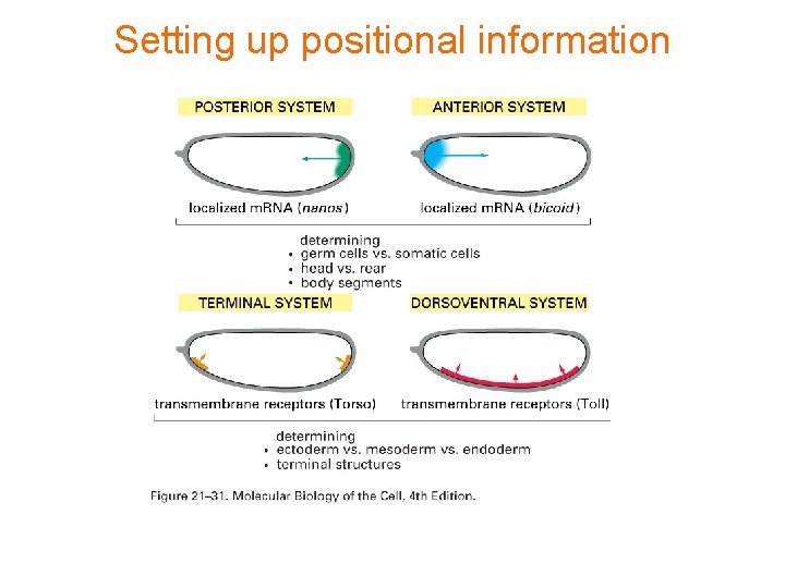 Setting up positional information 