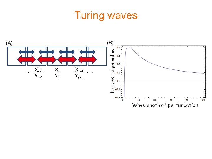 Turing waves 