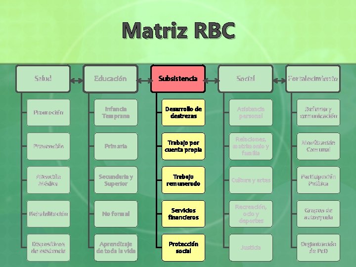 Matriz RBC Salud Educación Subsistencia Social Fortalecimiento Promoción Infancia Temprana Desarrollo de destrezas Asistencia