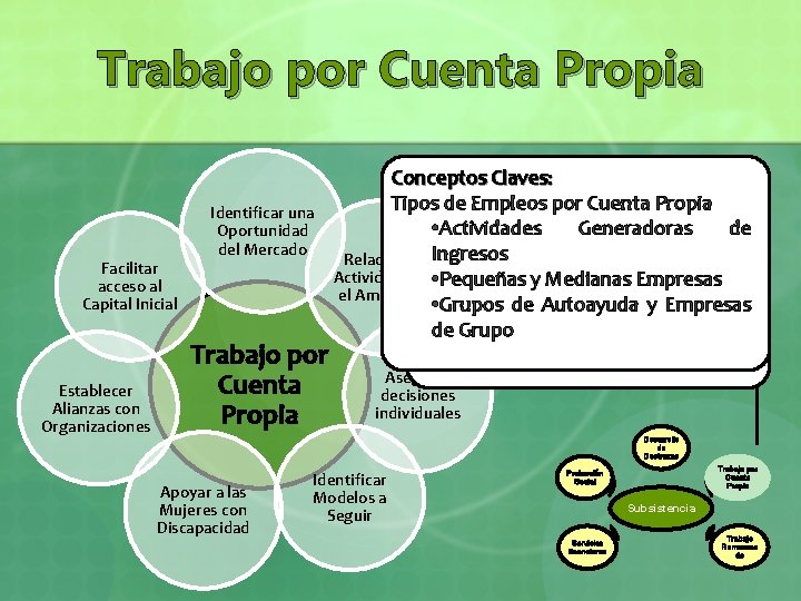 Trabajo por Cuenta Propia Facilitar acceso al Capital Inicial Establecer Alianzas con Organizaciones Identificar