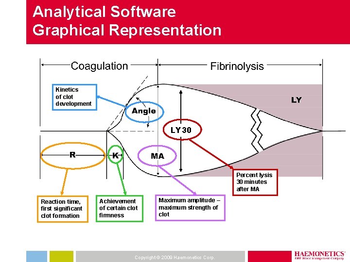 Analytical Software Graphical Representation Kinetics of clot development LY 30 Percent lysis 30 minutes