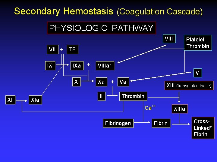 Secondary Hemostasis (Coagulation Cascade) PHYSIOLOGIC PATHWAY VIII VII + IX Platelet Thrombin TF IXa