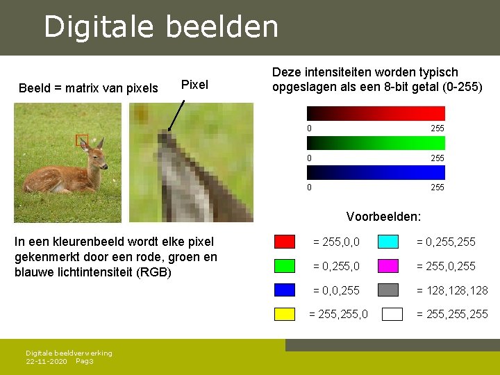 Digitale beelden Beeld = matrix van pixels Pixel Deze intensiteiten worden typisch opgeslagen als