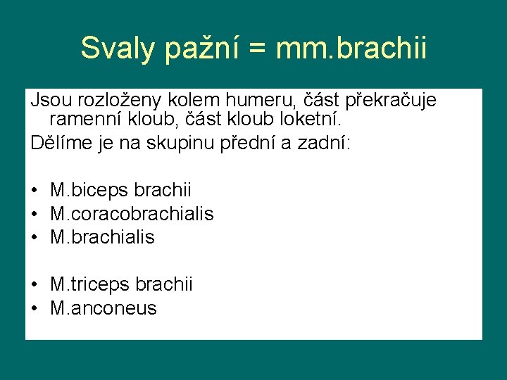 Svaly pažní = mm. brachii Jsou rozloženy kolem humeru, část překračuje ramenní kloub, část