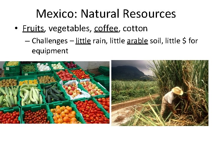Mexico: Natural Resources • Fruits, vegetables, coffee, cotton – Challenges – little rain, little