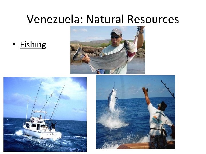 Venezuela: Natural Resources • Fishing 