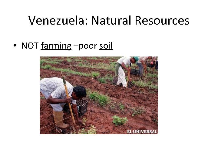 Venezuela: Natural Resources • NOT farming –poor soil 