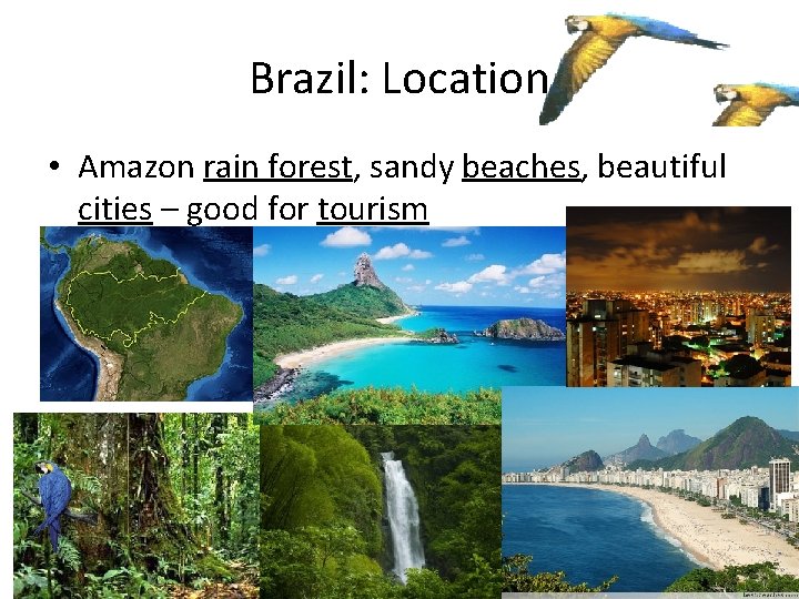 Brazil: Location • Amazon rain forest, sandy beaches, beautiful cities – good for tourism