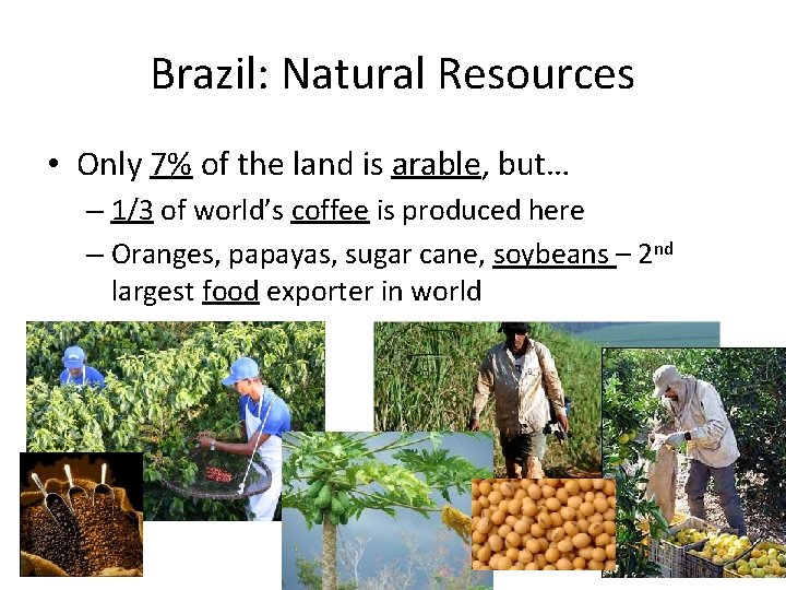 Brazil: Natural Resources • Only 7% of the land is arable, but… – 1/3