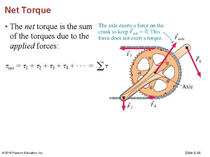 Net Torque • The net torque is the sum of the torques due to