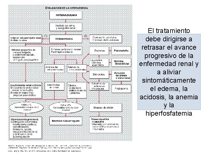 El tratamiento debe dirigirse a retrasar el avance progresivo de la enfermedad renal y