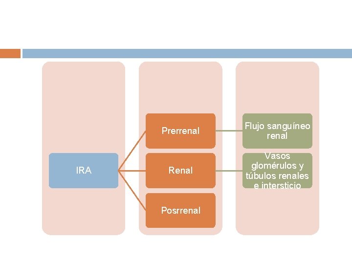 IRA Prerrenal Flujo sanguíneo renal Renal Vasos glomérulos y túbulos renales e intersticio Posrrenal