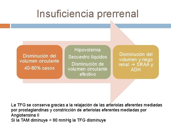 Insuficiencia prerrenal Disminución del volumen circulante 40 -80% casos Hipovolemia Secuestro líquidos Disminución de