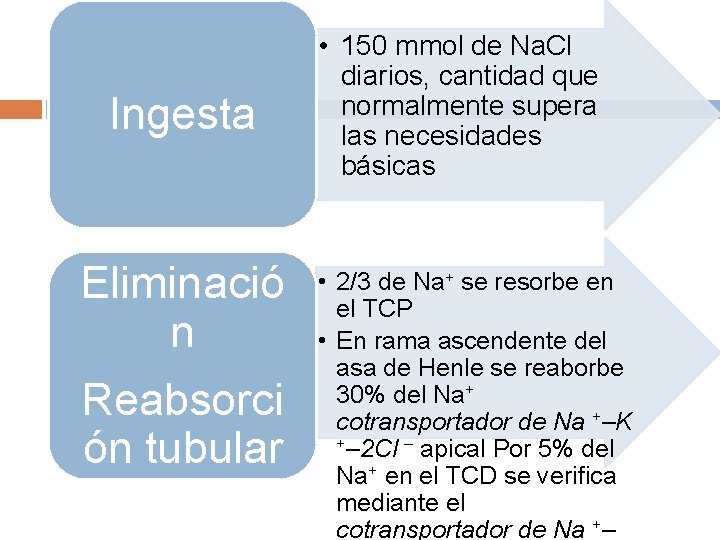 Ingesta Eliminació n Reabsorci ón tubular • 150 mmol de Na. Cl diarios, cantidad