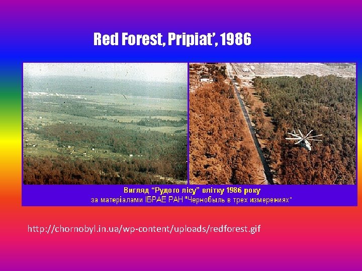 Red Forest, Pripiat’, 1986 http: //chornobyl. in. ua/wp-content/uploads/redforest. gif 