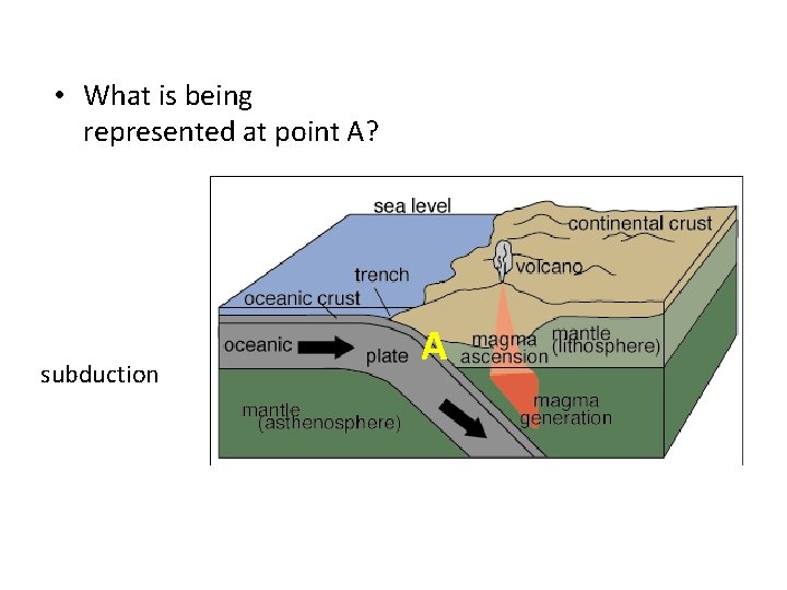  • What is being represented at point A? subduction A 
