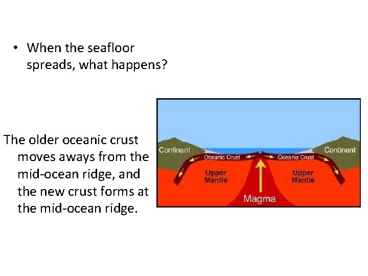  • When the seafloor spreads, what happens? The older oceanic crust moves aways